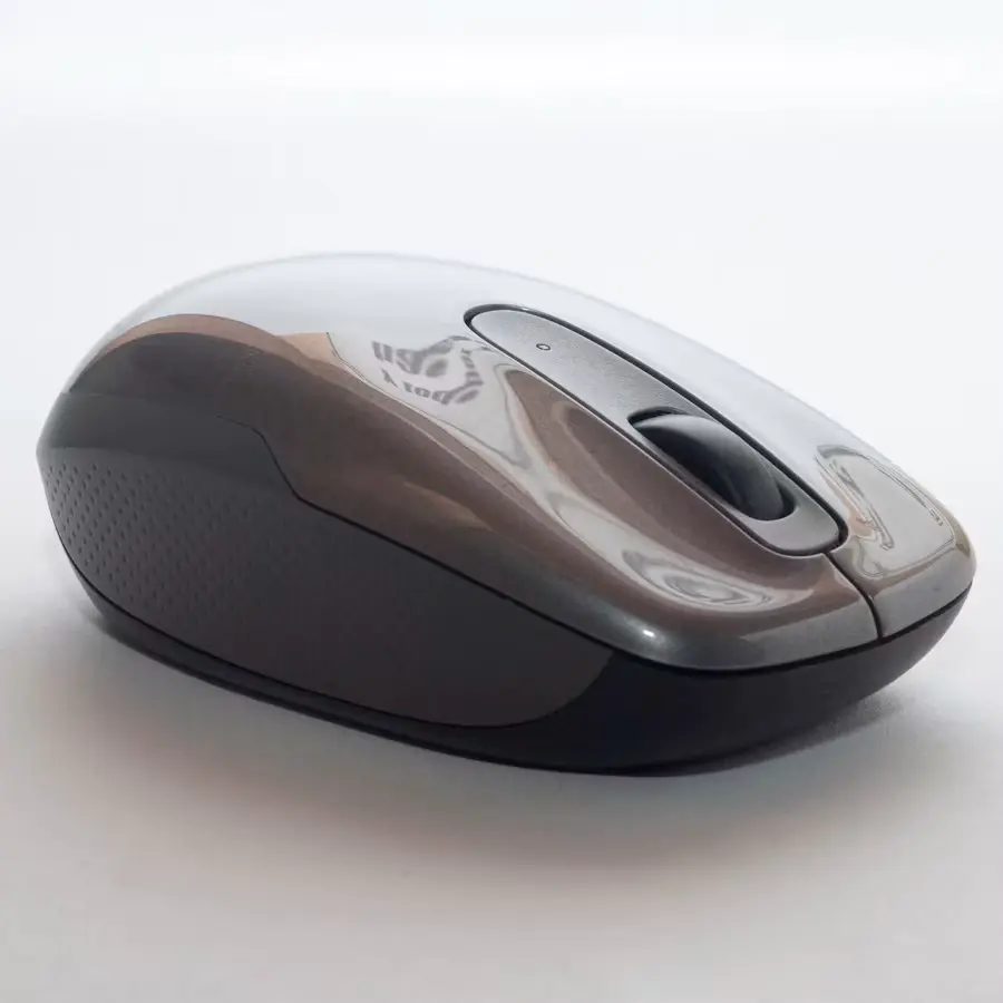 Mouse